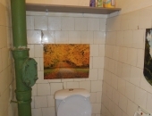 ������� - ������ ������� - ���� ������ - ����� ������������, ������� ������ �����-���������